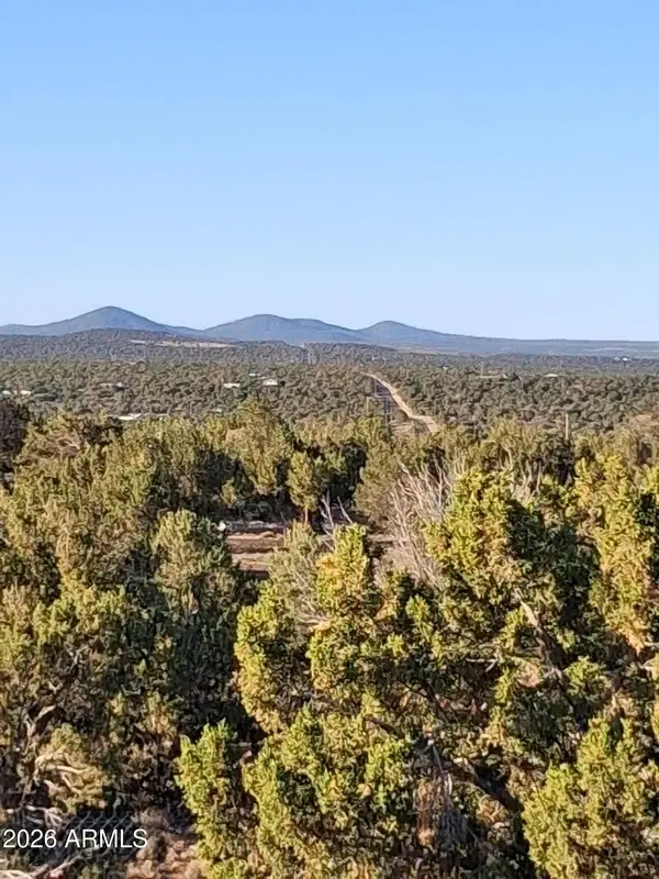 690 CR 8235 Drive, Concho, AZ 85924