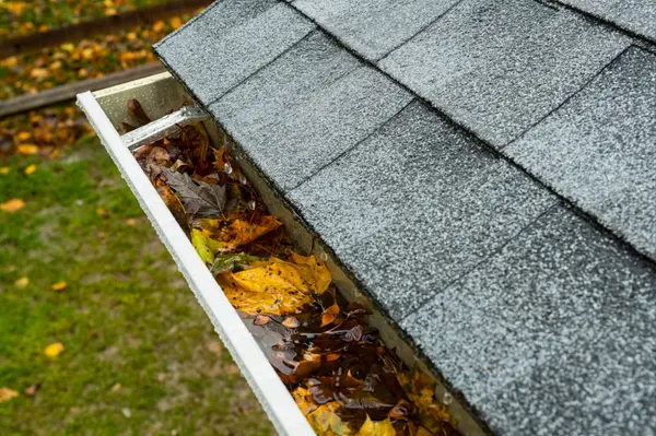 Seasonal Home Maintenance Tips for South Carolina Homeowners,Miles Maiden