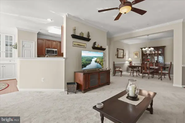 8245 STONE CROP DR #E, Ellicott City, MD 21043