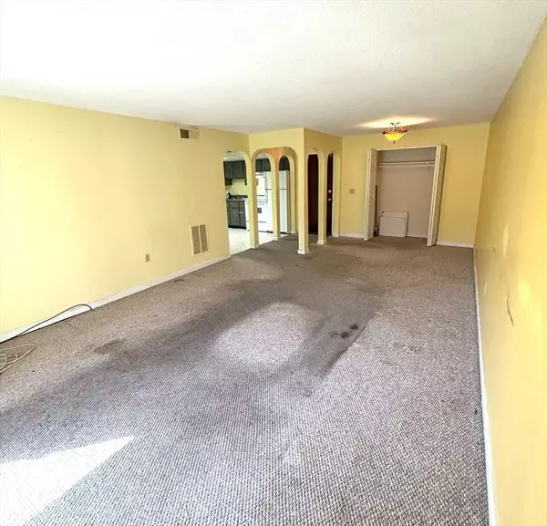 6 Shadowbrook Lane #9, Milford, MA 01757