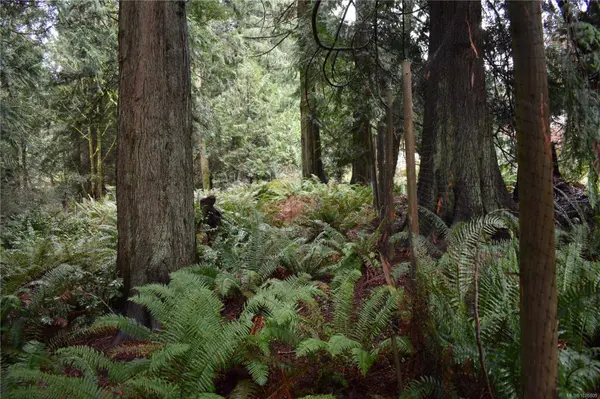 201 Grantville St, Salt Spring, BC V8K 1P1