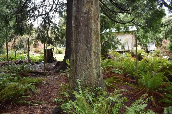 201 Grantville St, Salt Spring, BC V8K 1P1