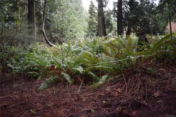 201 Grantville St, Salt Spring, BC V8K 1P1