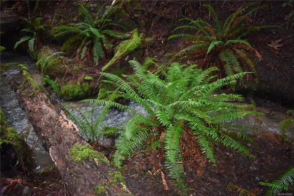 201 Grantville St, Salt Spring, BC V8K 1P1