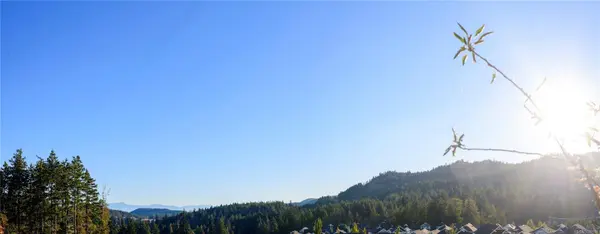 1145 Sikorsky Rd #312, Langford, BC V9B 0M8
