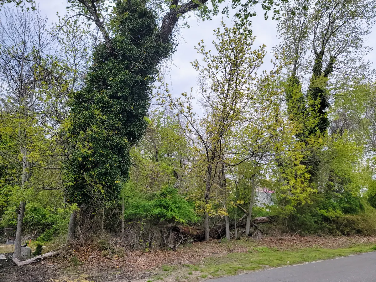 675 Pine Tree Rd, Cutchogue, NY 11935-1507