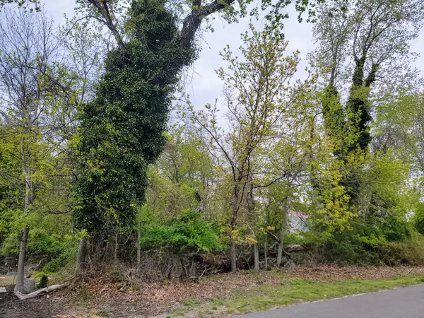 675 Pine Tree Rd, Cutchogue, NY 11935-1507