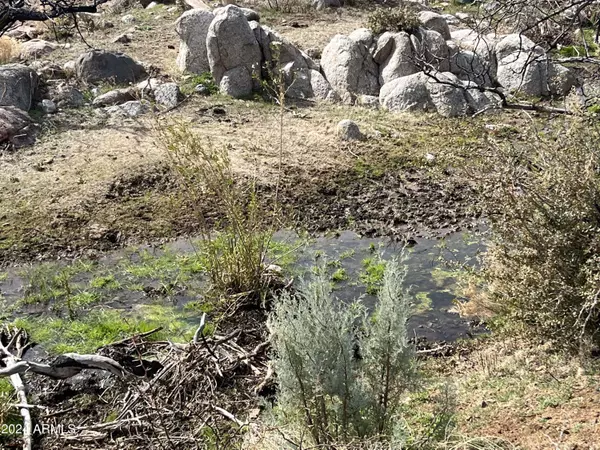 0 Ranch Creek Rd -- #-, Globe, AZ 85502