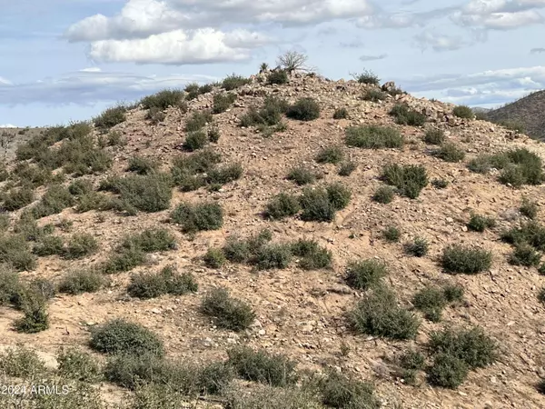 0 E Ranch Creek Road #-, Globe, AZ 85501