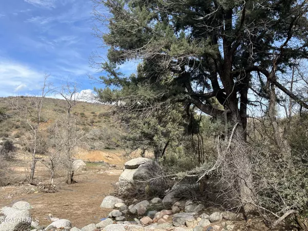 0 Ranch Creek Rd -- #-, Globe, AZ 85502