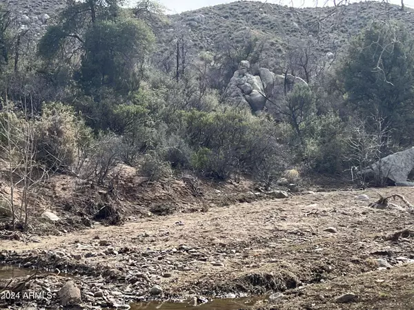 0 Ranch Creek Rd -- #-, Globe, AZ 85502