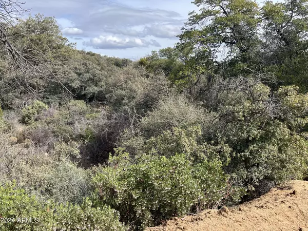 0 Ranch Creek Rd -- #-, Globe, AZ 85502