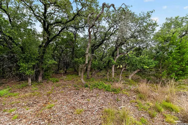 34893 THANKSGIVING TRL, Bulverde, TX 78163
