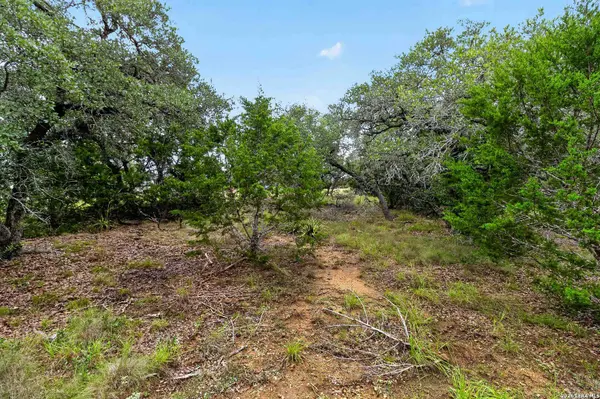 34893 THANKSGIVING TRL, Bulverde, TX 78163