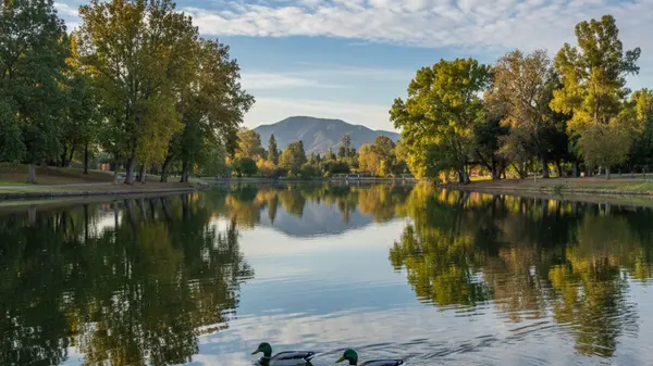 Who Is the Best Realtor in Riverside, CA?,Power Real Estate Group
