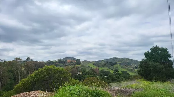 28052 Modjeska Grade RD, Silverado, CA 92676