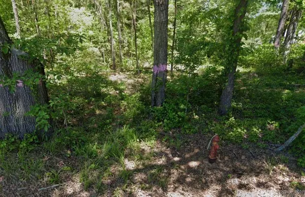 0 Vine Street, Traskwood, AR 72167