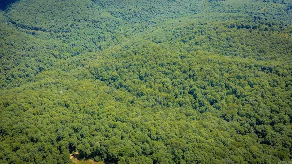 00 Rex Road, Clinton, AR 72031