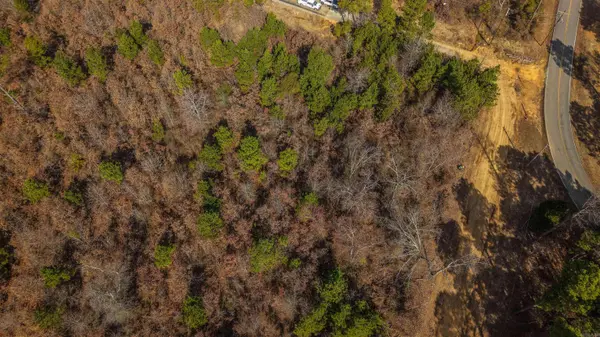Tract 76 AJ Lewis Drive, Sherwood, AR 72120