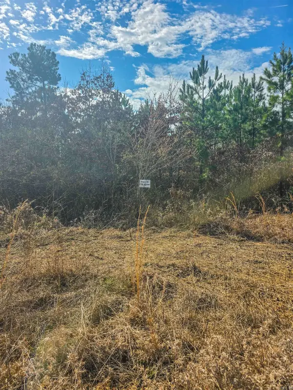 Tract 76 AJ Lewis Drive, Sherwood, AR 72120
