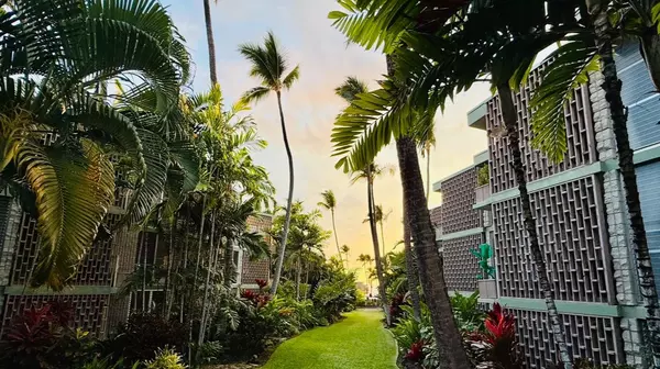 Dream vs Reality Of Moving to and Living in Hawaii