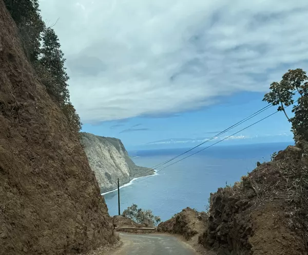 Let’s Talk About Buying Land on Hawaii Island