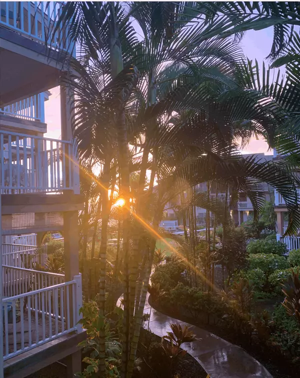 What 2025 Told Us About Where We're Headed for West Hawaii 