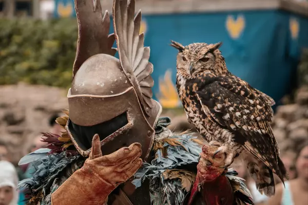 Fall Fun is Back! What's New at the Texas Renaissance Festival for 2025 and Why We Love Living Nearby
