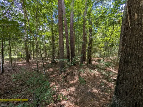 0 Rd 2721, Cleveland, TX 77327