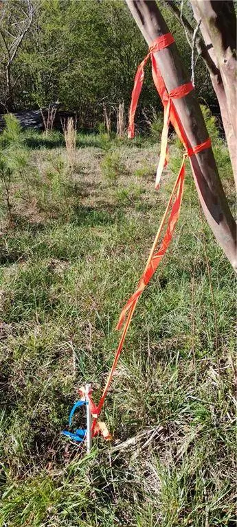 000 Lower Mill RD, Crawfordville, GA 30631