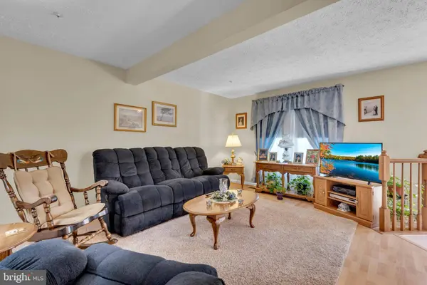 1231 TILLERMAN PL, Chestnut Hill Cove, MD 21226