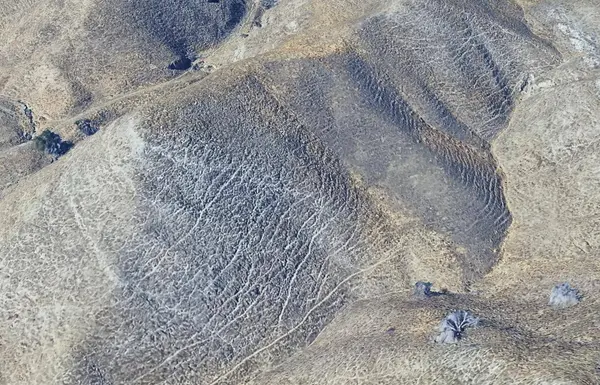 9 Warthan Canyon Rd, Coalinga, CA 93210