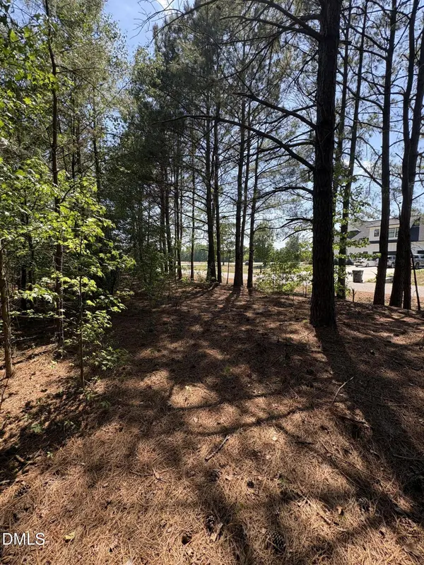 0 Jaback, Zebulon, NC 27597