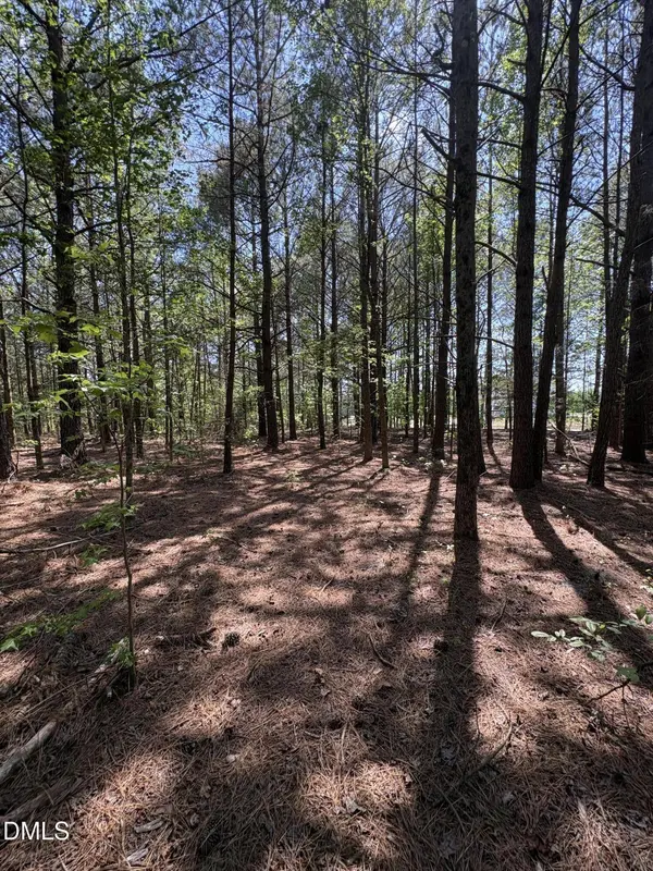 0 Jaback, Zebulon, NC 27597