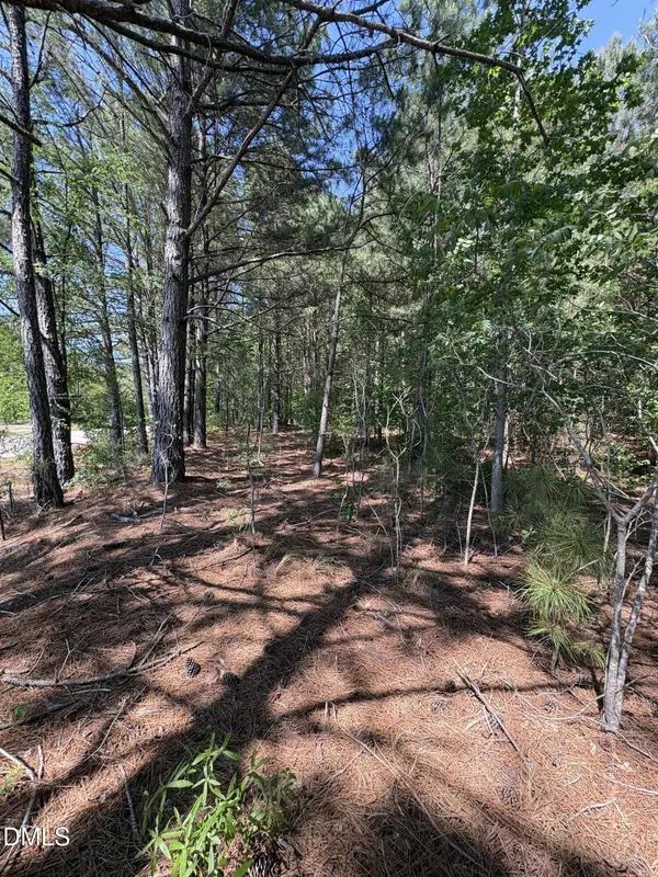 0 Jaback, Zebulon, NC 27597