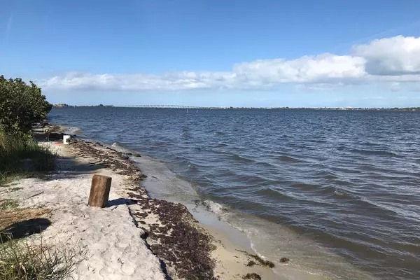 Palm Bay,Sue Borrelli