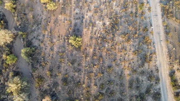 125 W Saddle Mountain Road #-, Phoenix, AZ 85086