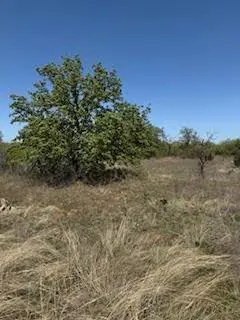 TBD 11.001 Acres County Road 149, Brownwood, TX 76801