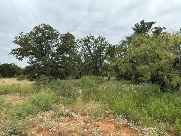 TBD 6.25 Acres County Road 149, Brownwood, TX 76801