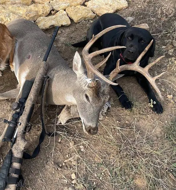 2138 FM 568, Coleman, TX 76834