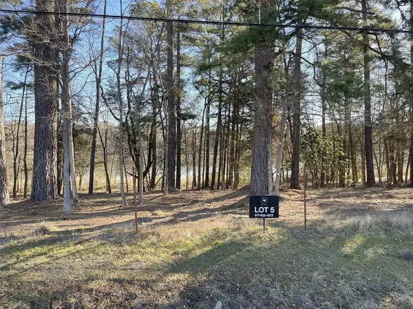 TBD Lot 5 County Road 2200, Mineola, TX 75773