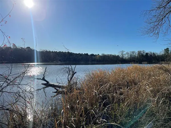 TBD Lot 1 County Road 2200, Mineola, TX 75773