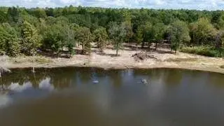 TBD 100+/- Acres SH 154, Quitman, TX 75783