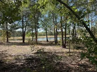 TBD 100+/- Acres SH 154, Quitman, TX 75783