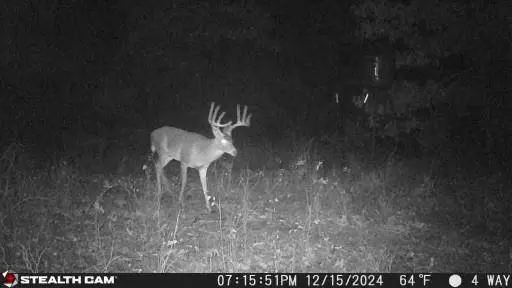 TBD 100+/- Acres SH 154, Quitman, TX 75783