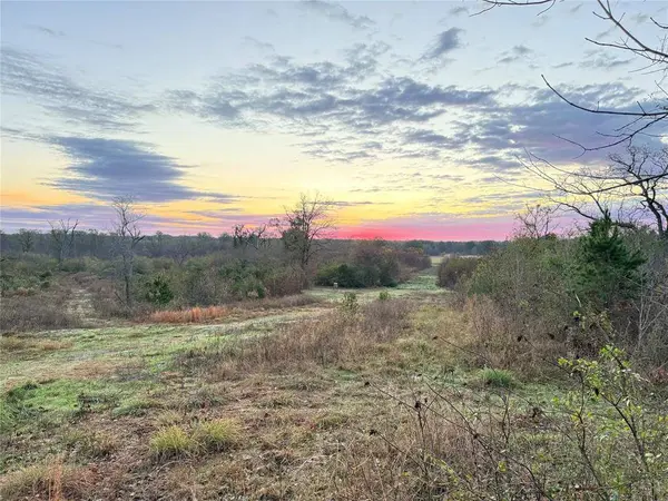 3222 FM 1254, Mineola, TX 75773