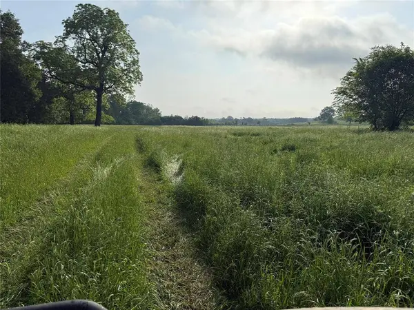 3222 FM1254, Mineola, TX 75773