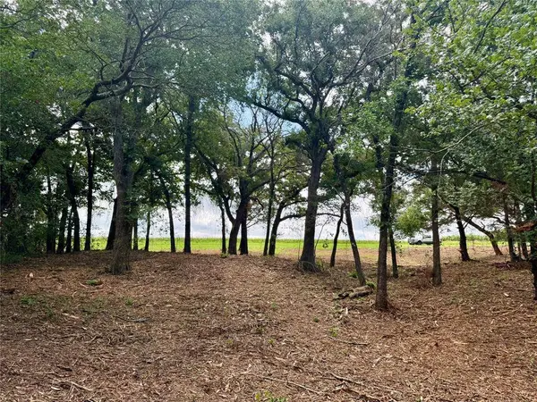 TBD +/- 10 ACRES FM 309, Hillsboro, TX 76645