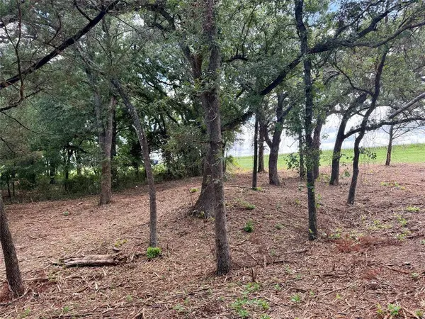 TBD +/- 10 ACRES FM 309, Hillsboro, TX 76645
