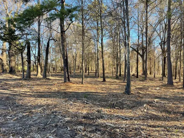 TBD Lot 3 County Road 2200, Mineola, TX 75773